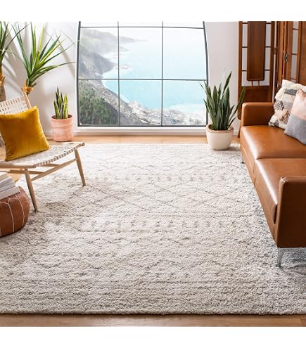 Amazon.com: JONATHAN Y Mercer Shag Plush Tassel Ivory/Gray Indoor